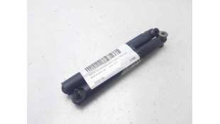 AMORTIGUADORES MALETERO / PORTON BMW X5 (2003-2006) 3.0 D 218CV 2993CC - L. 8167430 / 8402195
